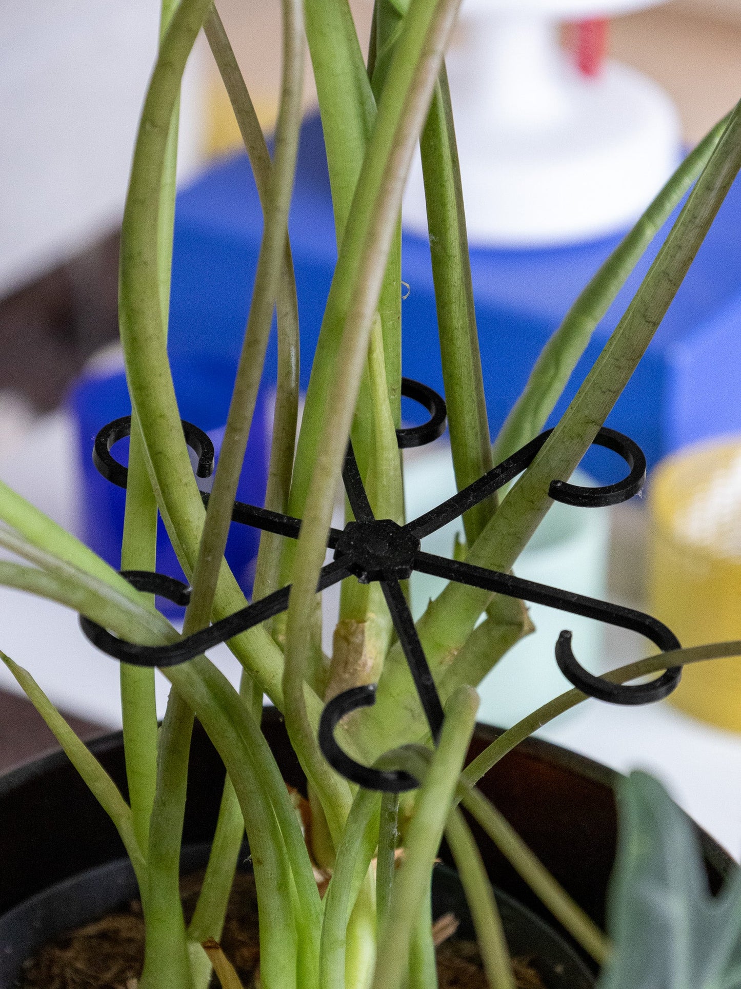 🪴Pflanzenstützrahmen – verhindert das Umfallen von Pflanzen💚