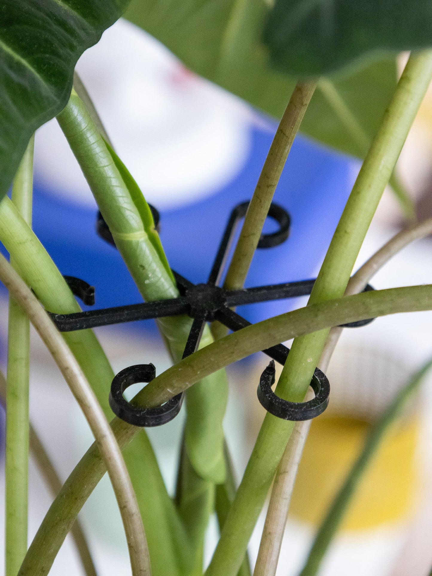 🪴Pflanzenstützrahmen – verhindert das Umfallen von Pflanzen💚