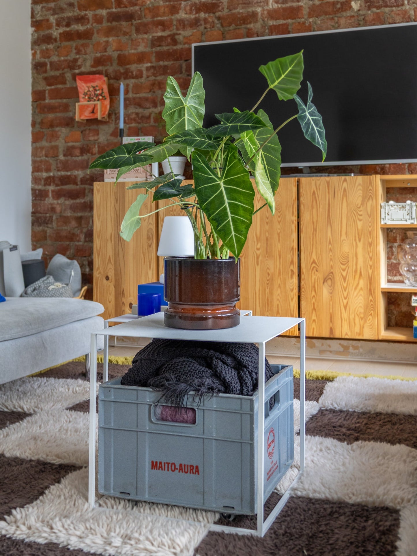 🪴Pflanzenstützrahmen – verhindert das Umfallen von Pflanzen💚