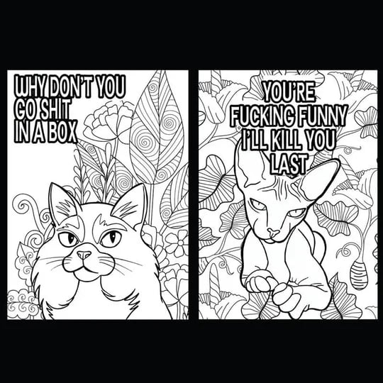 🔥Funny Kitty Memes Färbung Buch für Erwachsene Entspannung
